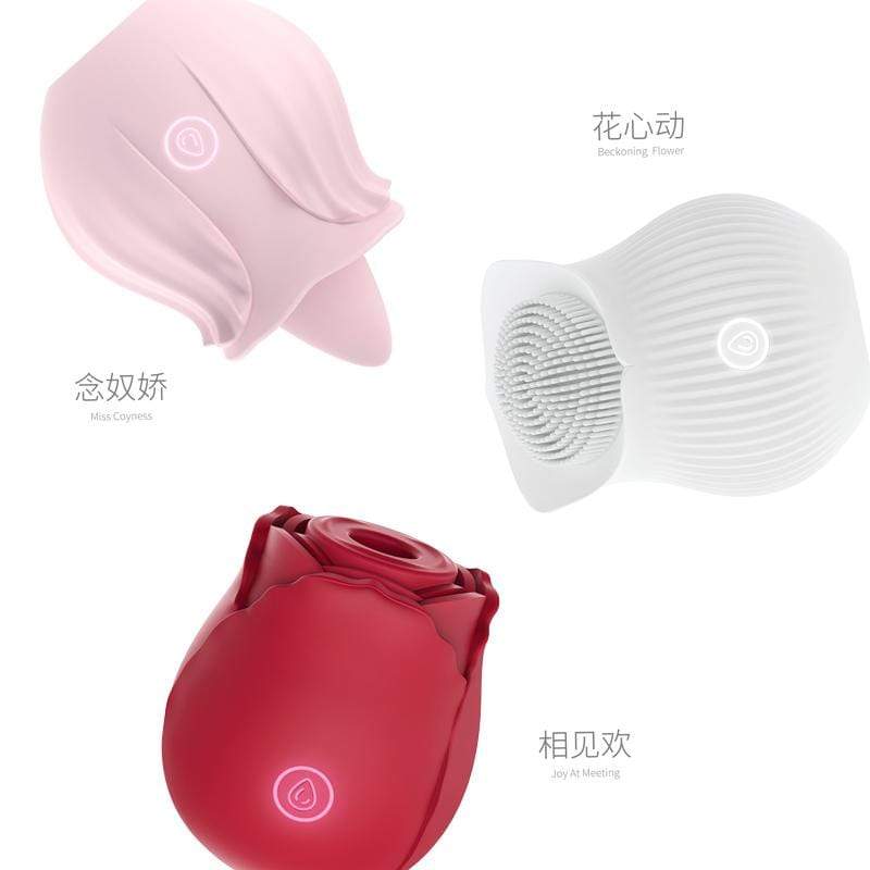 Her First Pleasure Starter Bundle