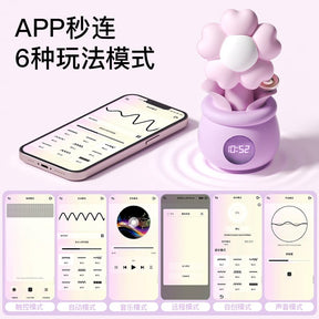 ZEMALIA Pillow Bloom Smart App-Control Flower Vibrator & Suction Massager