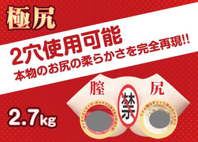 FM Hashimoto 2.7kg Portable Training Model | Dual-Channel Design | Durable Material