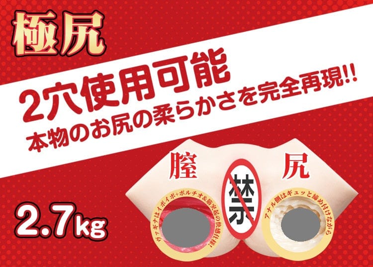FM Hashimoto 2.7kg Portable Training Model | Dual-Channel Design | Durable Material