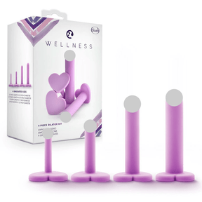 Blush Novelties Heart Key – 4 Sizes Progressive Expander for Beginners & Couples, 爱心蜜匙渐进式扩张器成人情趣用品