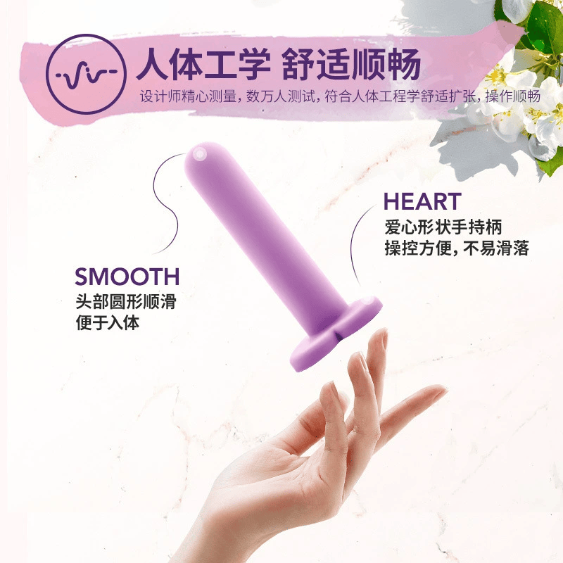 Blush Novelties Heart Key – 4 Sizes Progressive Expander for Beginners & Couples, 爱心蜜匙渐进式扩张器成人情趣用品